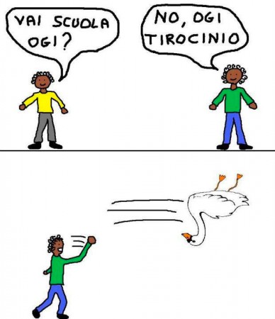 tirocinio ....versione 2013